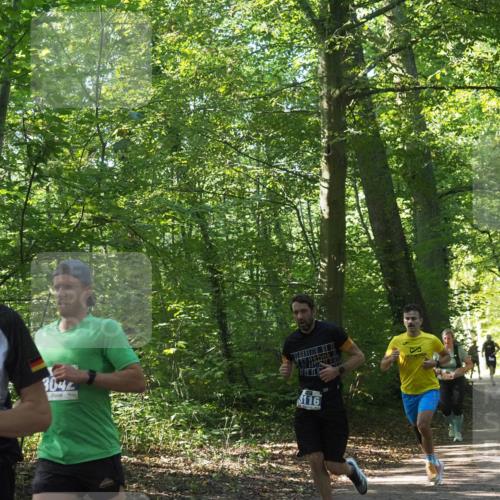 22.09.2024 - 32. Volkslauf durch das schöne Alstertal Miley Keyser http://msf.ph/oto/7135389 22.09.2024 10:47:46 Laufen 3365, 3044, 3116 meine-sportfotos.de