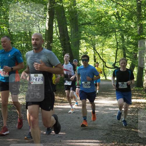 22.09.2024 - 32. Volkslauf durch das schöne Alstertal Miley Keyser http://msf.ph/oto/7135395 22.09.2024 10:47:44 Laufen 04, 2512, 3272, 3365, 3277, 3148 meine-sportfotos.de