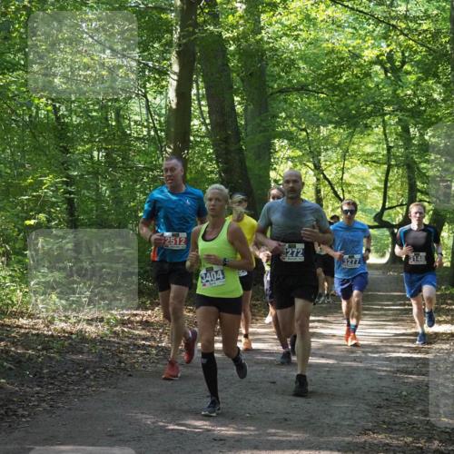 22.09.2024 - 32. Volkslauf durch das schöne Alstertal Miley Keyser http://msf.ph/oto/7135397 22.09.2024 10:47:43 Laufen 2512, 3404, 3, 3272, 3116, 3277, 3148 meine-sportfotos.de