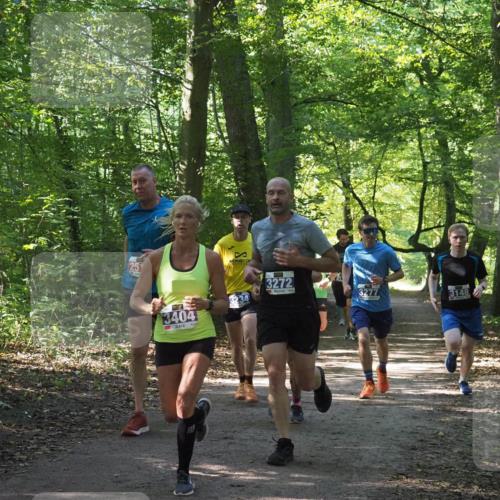 22.09.2024 - 32. Volkslauf durch das schöne Alstertal Miley Keyser http://msf.ph/oto/7135398 22.09.2024 10:47:43 Laufen 251, 3404, 3234, 3272, 3277, 3148 meine-sportfotos.de