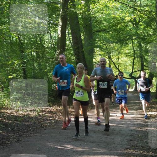 22.09.2024 - 32. Volkslauf durch das schöne Alstertal Miley Keyser http://msf.ph/oto/7135399 22.09.2024 10:47:43 Laufen 2512, 3404, 3272, 3277 meine-sportfotos.de