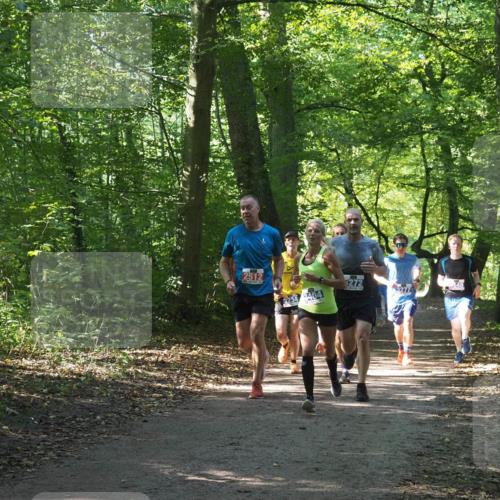 22.09.2024 - 32. Volkslauf durch das schöne Alstertal Miley Keyser http://msf.ph/oto/7135401 22.09.2024 10:47:42 Laufen 2512, 3404, 5272, 3277 meine-sportfotos.de