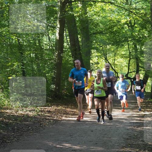 22.09.2024 - 32. Volkslauf durch das schöne Alstertal Miley Keyser http://msf.ph/oto/7135402 22.09.2024 10:47:42 Laufen 2512, 3404, 272 meine-sportfotos.de