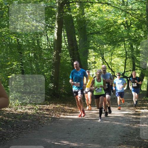22.09.2024 - 32. Volkslauf durch das schöne Alstertal Miley Keyser http://msf.ph/oto/7135403 22.09.2024 10:47:42 Laufen 2512, 3404, 3148 meine-sportfotos.de