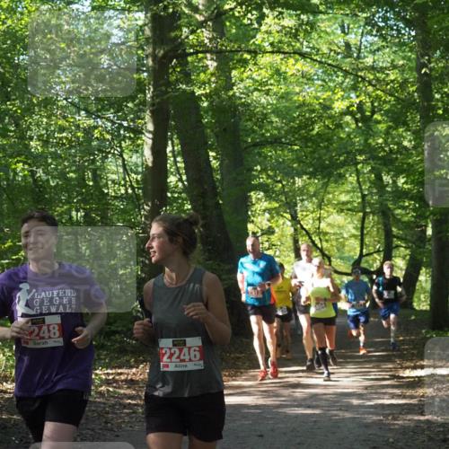 22.09.2024 - 32. Volkslauf durch das schöne Alstertal Miley Keyser http://msf.ph/oto/7135406 22.09.2024 10:47:41 Laufen 248, 2246 meine-sportfotos.de