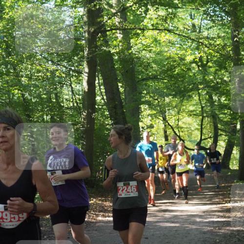 22.09.2024 - 32. Volkslauf durch das schöne Alstertal Miley Keyser http://msf.ph/oto/7135407 22.09.2024 10:47:41 Laufen 2959, 2246, 12 meine-sportfotos.de