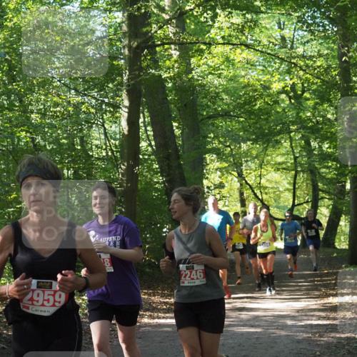 22.09.2024 - 32. Volkslauf durch das schöne Alstertal Miley Keyser http://msf.ph/oto/7135408 22.09.2024 10:47:41 Laufen 2959, 2246 meine-sportfotos.de