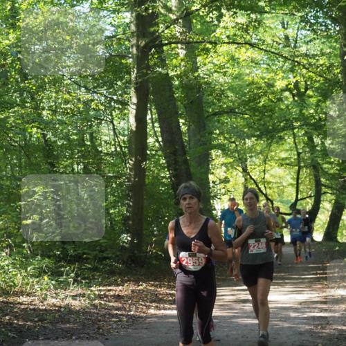22.09.2024 - 32. Volkslauf durch das schöne Alstertal Miley Keyser http://msf.ph/oto/7135409 22.09.2024 10:47:39 Laufen 2246 meine-sportfotos.de