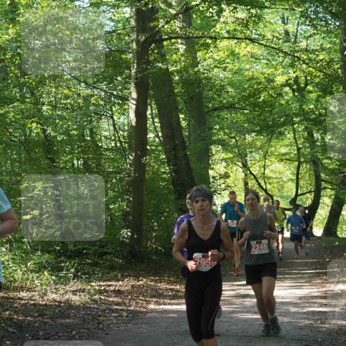 22.09.2024 - 32. Volkslauf durch das schöne Alstertal Miley Keyser http://msf.ph/oto/7135410 22.09.2024 10:47:39 Laufen 2237, 295, 2246 meine-sportfotos.de