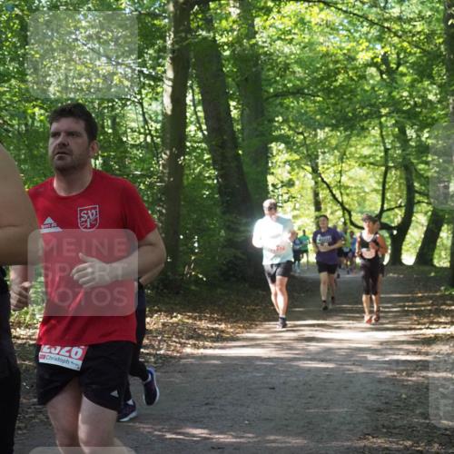 22.09.2024 - 32. Volkslauf durch das schöne Alstertal Miley Keyser http://msf.ph/oto/7135416 22.09.2024 10:47:35 Laufen  meine-sportfotos.de