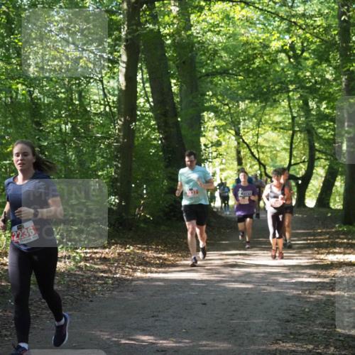 22.09.2024 - 32. Volkslauf durch das schöne Alstertal Miley Keyser http://msf.ph/oto/7135417 22.09.2024 10:47:36 Laufen 2236 meine-sportfotos.de