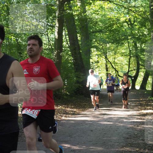 22.09.2024 - 32. Volkslauf durch das schöne Alstertal Miley Keyser http://msf.ph/oto/7135420 22.09.2024 10:47:35 Laufen 2193, 2526 meine-sportfotos.de