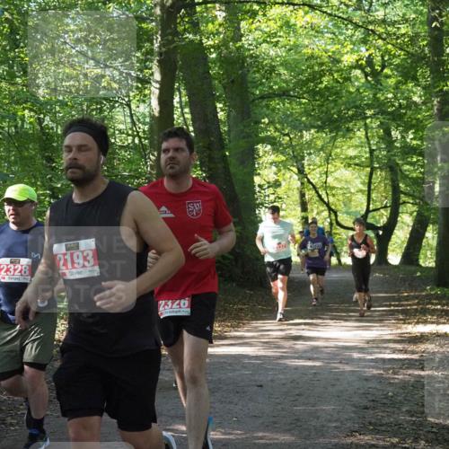 22.09.2024 - 32. Volkslauf durch das schöne Alstertal Miley Keyser http://msf.ph/oto/7135421 22.09.2024 10:47:35 Laufen 2328, 2193, 2326, 2237 meine-sportfotos.de