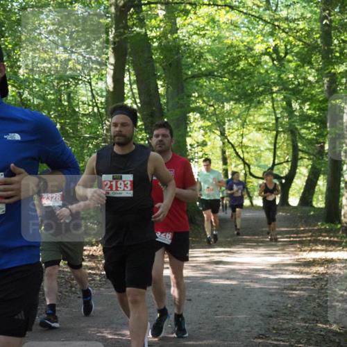 22.09.2024 - 32. Volkslauf durch das schöne Alstertal Miley Keyser http://msf.ph/oto/7135424 22.09.2024 10:47:34 Laufen 253, 2328, 2193, 46 meine-sportfotos.de
