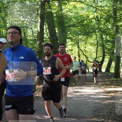 22.09.2024 - 32. Volkslauf durch das schöne Alstertal Miley Keyser http://msf.ph/oto/7135425 22.09.2024 10:47:34 Laufen 25, 193, 26 meine-sportfotos.de