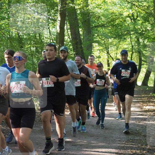 22.09.2024 - 32. Volkslauf durch das schöne Alstertal Miley Keyser http://msf.ph/oto/7135435 22.09.2024 10:47:31 Laufen 278, 2286, 2178, 262, 2554, 2553 meine-sportfotos.de