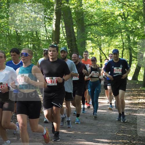 22.09.2024 - 32. Volkslauf durch das schöne Alstertal Miley Keyser http://msf.ph/oto/7135438 22.09.2024 10:47:31 Laufen 2278, 228, 2178, 3, 202, 2553 meine-sportfotos.de