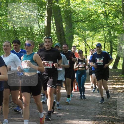 22.09.2024 - 32. Volkslauf durch das schöne Alstertal Miley Keyser http://msf.ph/oto/7135439 22.09.2024 10:47:31 Laufen 2336, 228, 178, 2553 meine-sportfotos.de