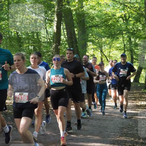 22.09.2024 - 32. Volkslauf durch das schöne Alstertal Miley Keyser http://msf.ph/oto/7135440 22.09.2024 10:47:30 Laufen 2335, 2336, 2280, 2554, 2553 meine-sportfotos.de
