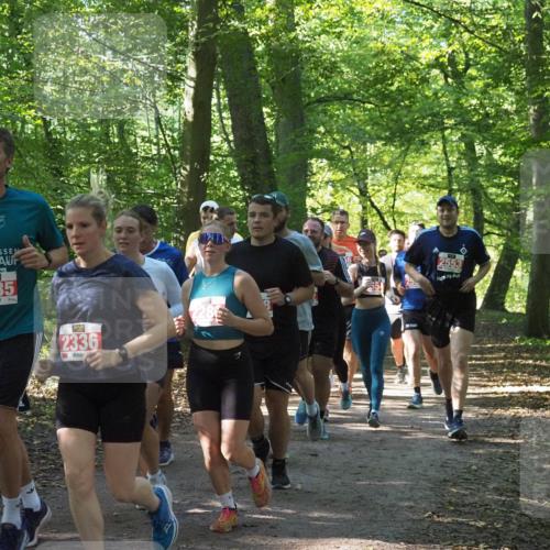 22.09.2024 - 32. Volkslauf durch das schöne Alstertal Miley Keyser http://msf.ph/oto/7135444 22.09.2024 10:47:30 Laufen 2335, 2336, 228 meine-sportfotos.de