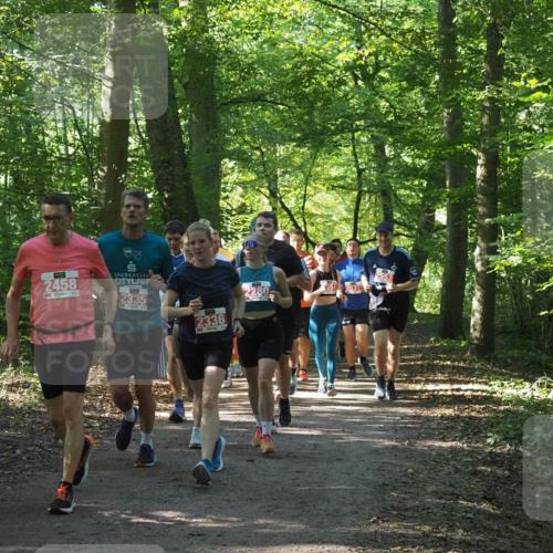 22.09.2024 - 32. Volkslauf durch das schöne Alstertal Miley Keyser http://msf.ph/oto/7135447 22.09.2024 10:47:29 Laufen 2458, 2335, 2336, 2280 meine-sportfotos.de