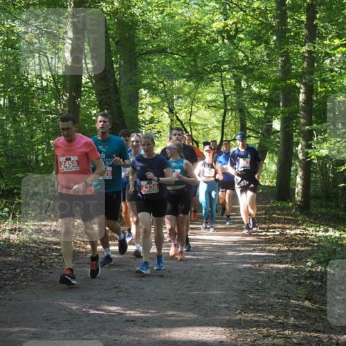 22.09.2024 - 32. Volkslauf durch das schöne Alstertal Miley Keyser http://msf.ph/oto/7135449 22.09.2024 10:47:28 Laufen 2458, 35, 2336 meine-sportfotos.de