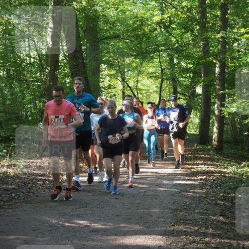 22.09.2024 - 32. Volkslauf durch das schöne Alstertal Miley Keyser http://msf.ph/oto/7135450 22.09.2024 10:47:28 Laufen 2458, 2335, 80 meine-sportfotos.de