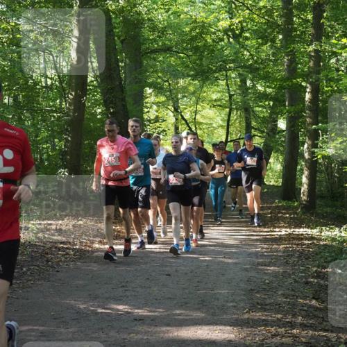22.09.2024 - 32. Volkslauf durch das schöne Alstertal Miley Keyser http://msf.ph/oto/7135451 22.09.2024 10:47:28 Laufen 2538, 2458, 2554, 2553 meine-sportfotos.de