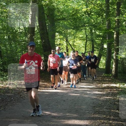 22.09.2024 - 32. Volkslauf durch das schöne Alstertal Miley Keyser http://msf.ph/oto/7135454 22.09.2024 10:47:27 Laufen 2538, 2458, 2336, 2553 meine-sportfotos.de