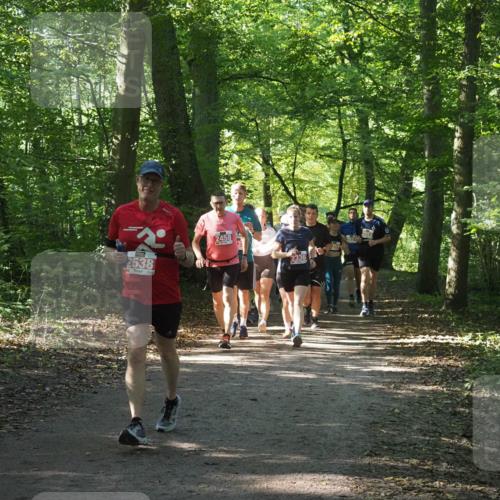 22.09.2024 - 32. Volkslauf durch das schöne Alstertal Miley Keyser http://msf.ph/oto/7135456 22.09.2024 10:47:26 Laufen 2538, 2458, 2336 meine-sportfotos.de