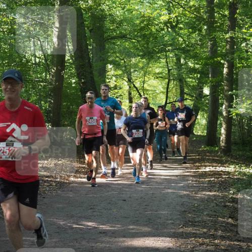 22.09.2024 - 32. Volkslauf durch das schöne Alstertal Miley Keyser http://msf.ph/oto/7135457 22.09.2024 10:47:27 Laufen 2, 257, 2458, 35, 2336, 2554, 2553 meine-sportfotos.de