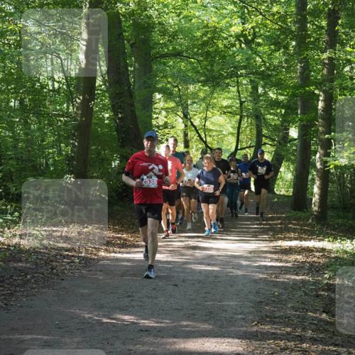 22.09.2024 - 32. Volkslauf durch das schöne Alstertal Miley Keyser http://msf.ph/oto/7135459 22.09.2024 10:47:25 Laufen 2538, 62278, 2336 meine-sportfotos.de