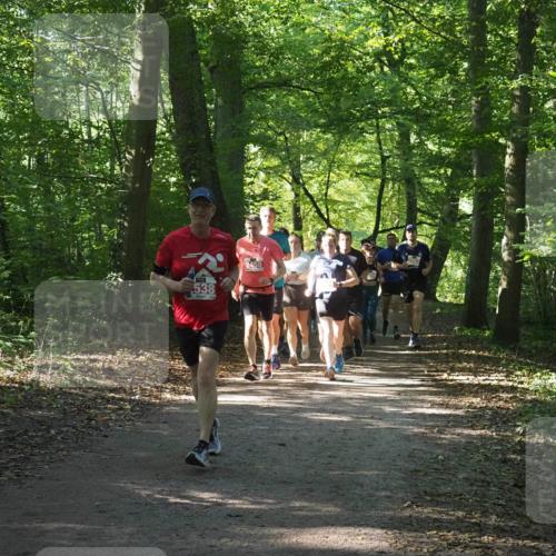 22.09.2024 - 32. Volkslauf durch das schöne Alstertal Miley Keyser http://msf.ph/oto/7135460 22.09.2024 10:47:26 Laufen 538, 2458 meine-sportfotos.de
