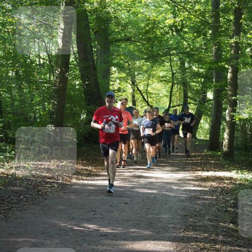22.09.2024 - 32. Volkslauf durch das schöne Alstertal Miley Keyser http://msf.ph/oto/7135463 22.09.2024 10:47:25 Laufen 2538 meine-sportfotos.de