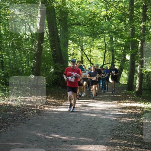 22.09.2024 - 32. Volkslauf durch das schöne Alstertal Miley Keyser http://msf.ph/oto/7135464 22.09.2024 10:47:25 Laufen 2538 meine-sportfotos.de