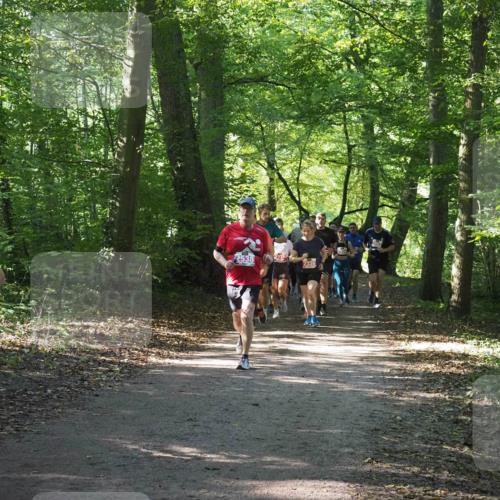 22.09.2024 - 32. Volkslauf durch das schöne Alstertal Miley Keyser http://msf.ph/oto/7135466 22.09.2024 10:47:25 Laufen 569, 2538, 2336 meine-sportfotos.de