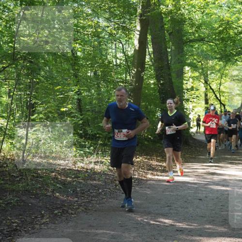 22.09.2024 - 32. Volkslauf durch das schöne Alstertal Miley Keyser http://msf.ph/oto/7135471 22.09.2024 10:47:22 Laufen 2462 meine-sportfotos.de