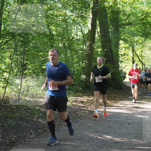 22.09.2024 - 32. Volkslauf durch das schöne Alstertal Miley Keyser http://msf.ph/oto/7135472 22.09.2024 10:47:23 Laufen 4407 meine-sportfotos.de