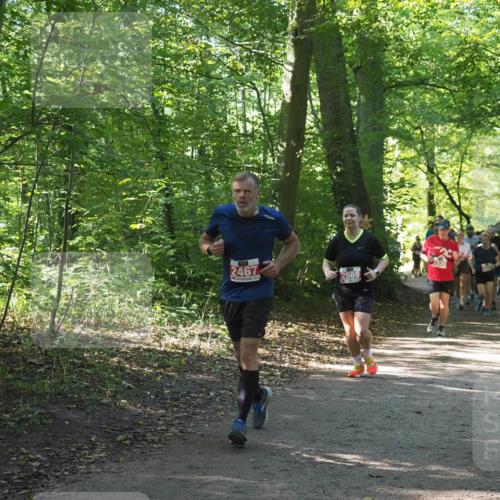22.09.2024 - 32. Volkslauf durch das schöne Alstertal Miley Keyser http://msf.ph/oto/7135474 22.09.2024 10:47:23 Laufen 2467, 2569, 2538 meine-sportfotos.de