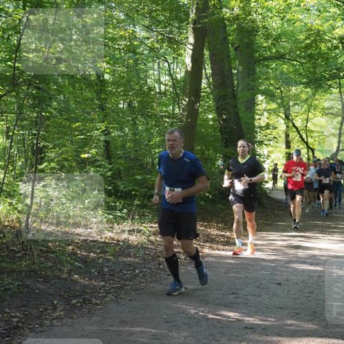 22.09.2024 - 32. Volkslauf durch das schöne Alstertal Miley Keyser http://msf.ph/oto/7135476 22.09.2024 10:47:22 Laufen  meine-sportfotos.de