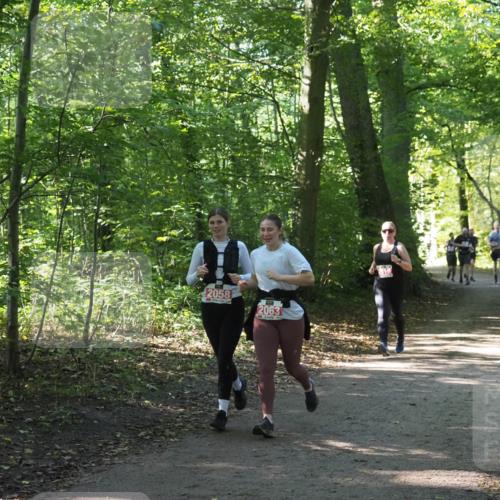 22.09.2024 - 32. Volkslauf durch das schöne Alstertal Miley Keyser http://msf.ph/oto/7135516 22.09.2024 10:47:00 Laufen 2058, 2063 meine-sportfotos.de