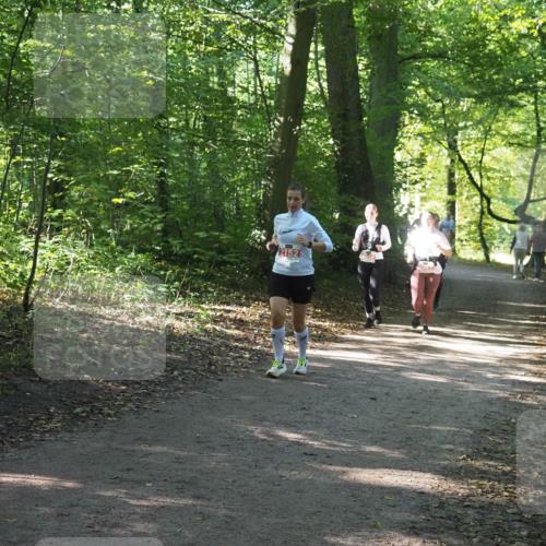 22.09.2024 - 32. Volkslauf durch das schöne Alstertal Miley Keyser http://msf.ph/oto/7135525 22.09.2024 10:46:57 Laufen 2152 meine-sportfotos.de