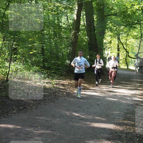 22.09.2024 - 32. Volkslauf durch das schöne Alstertal Miley Keyser http://msf.ph/oto/7135527 22.09.2024 10:46:57 Laufen 2152 meine-sportfotos.de