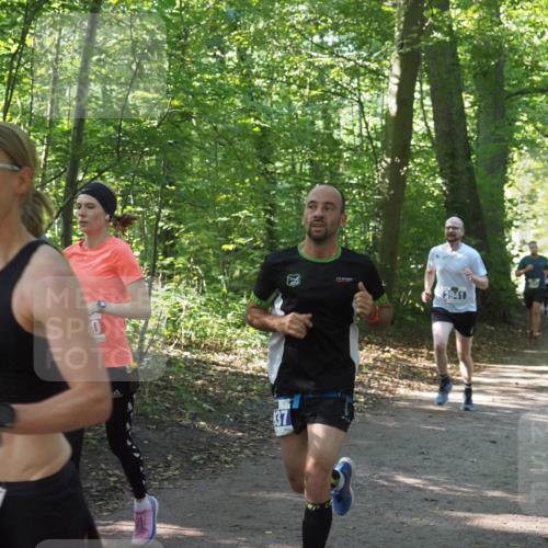 22.09.2024 - 32. Volkslauf durch das schöne Alstertal Miley Keyser http://msf.ph/oto/7135537 22.09.2024 10:46:50 Laufen 3938, 0, 137, 3941 meine-sportfotos.de