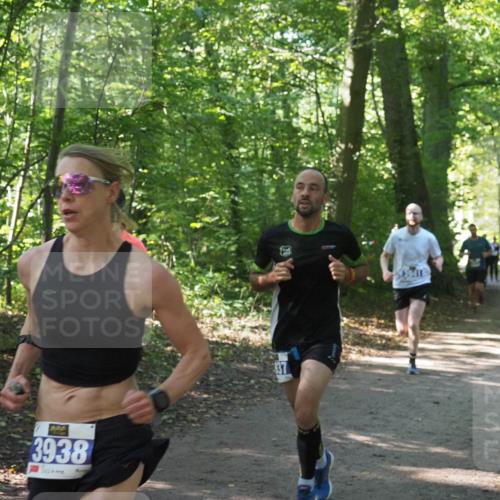 22.09.2024 - 32. Volkslauf durch das schöne Alstertal Miley Keyser http://msf.ph/oto/7135540 22.09.2024 10:46:50 Laufen 3938, 411 meine-sportfotos.de