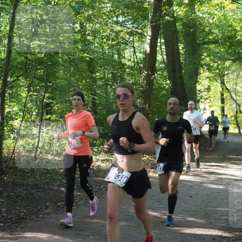 22.09.2024 - 32. Volkslauf durch das schöne Alstertal Miley Keyser http://msf.ph/oto/7135543 22.09.2024 10:46:49 Laufen 2260, 3938, 411 meine-sportfotos.de