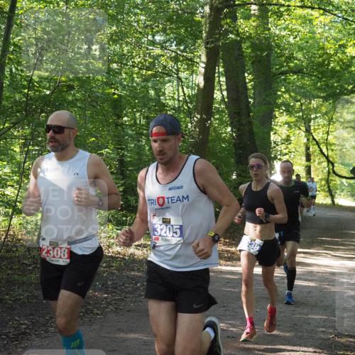 22.09.2024 - 32. Volkslauf durch das schöne Alstertal Miley Keyser http://msf.ph/oto/7135547 22.09.2024 10:46:48 Laufen 2308, 70, 3205 meine-sportfotos.de