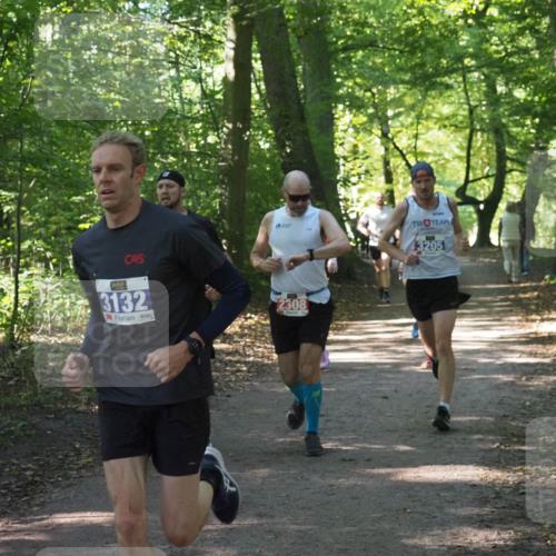 22.09.2024 - 32. Volkslauf durch das schöne Alstertal Miley Keyser http://msf.ph/oto/7135549 22.09.2024 10:46:47 Laufen 3132, 2308, 3205 meine-sportfotos.de