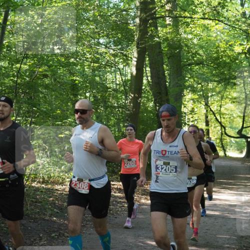 22.09.2024 - 32. Volkslauf durch das schöne Alstertal Miley Keyser http://msf.ph/oto/7135550 22.09.2024 10:46:48 Laufen 304, 2308, 2260, 3205, 938 meine-sportfotos.de