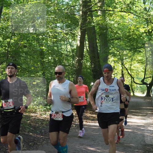 22.09.2024 - 32. Volkslauf durch das schöne Alstertal Miley Keyser http://msf.ph/oto/7135551 22.09.2024 10:46:48 Laufen 2304, 2308, 260, 3205 meine-sportfotos.de